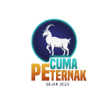 cuma ternak